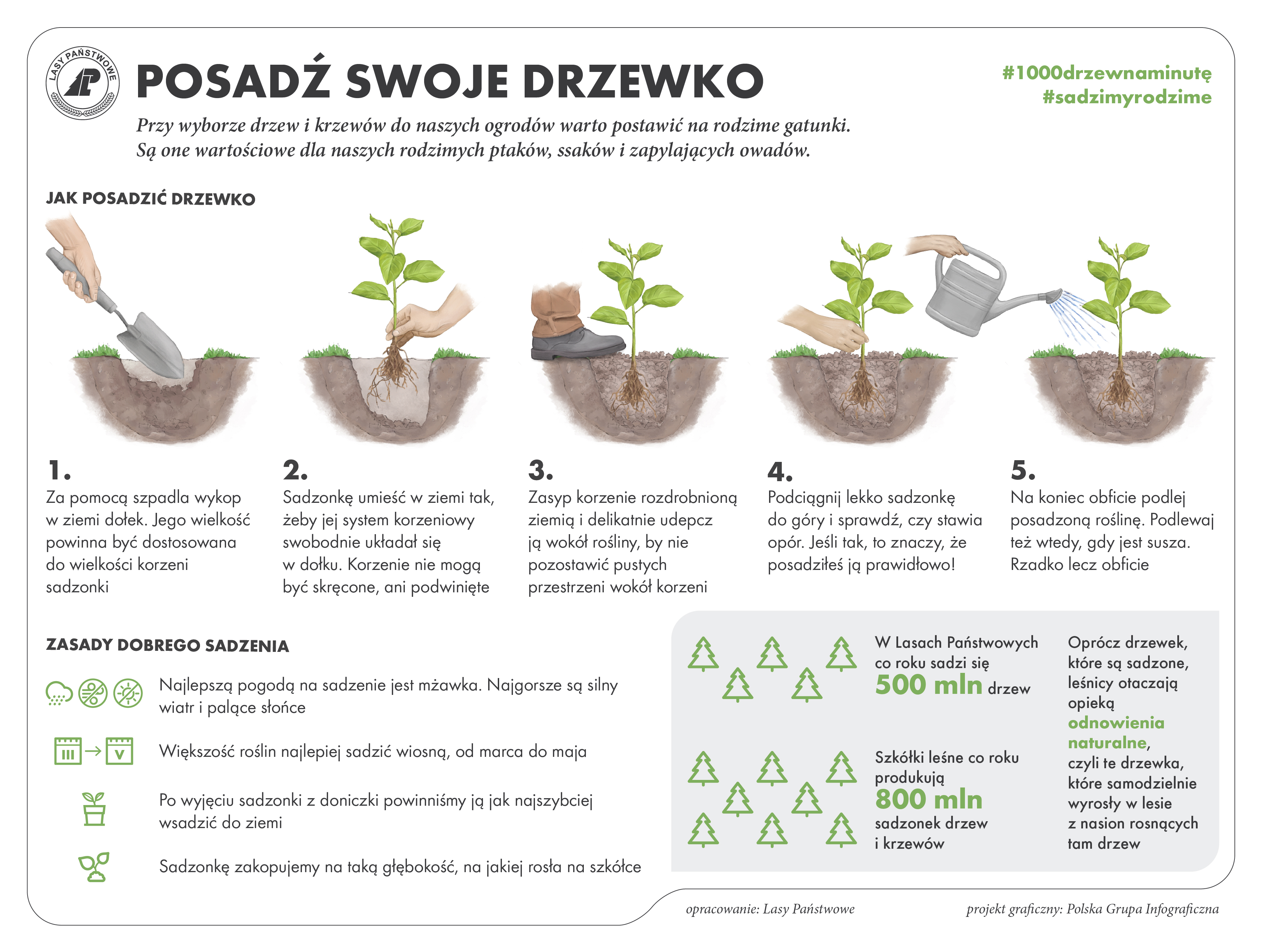 Ilustracja posadź swoje drzewko. Krótka instrukcja jak posadzić własne drzewko.